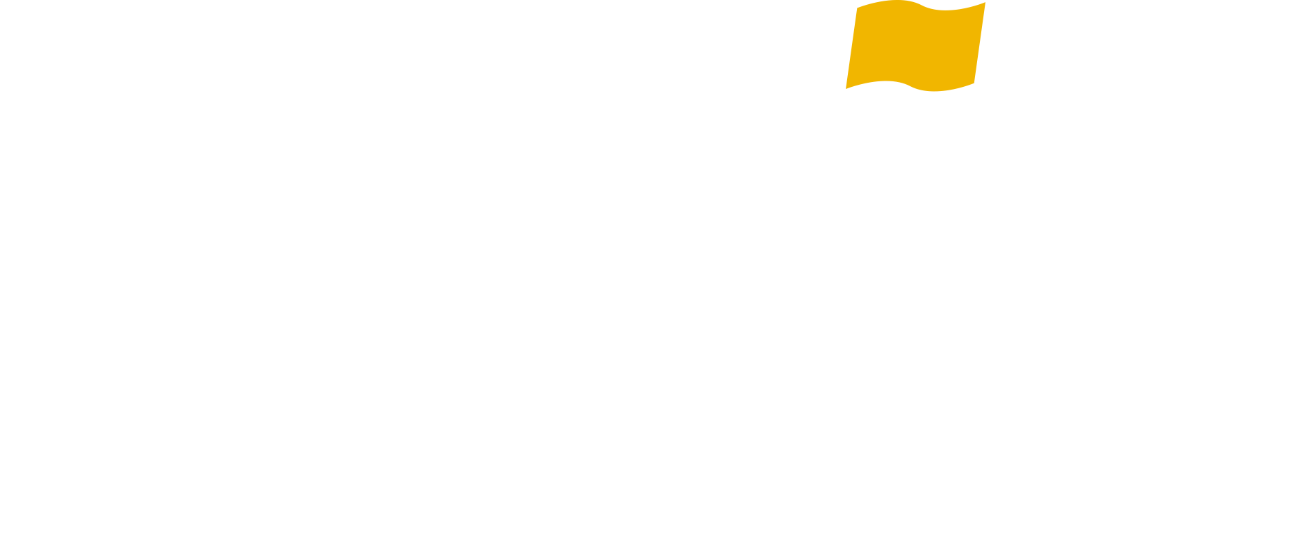 Provide-CiC-Community-Logo_2021_CMYK_White.png